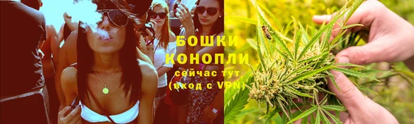 молекула духа Алексеевка