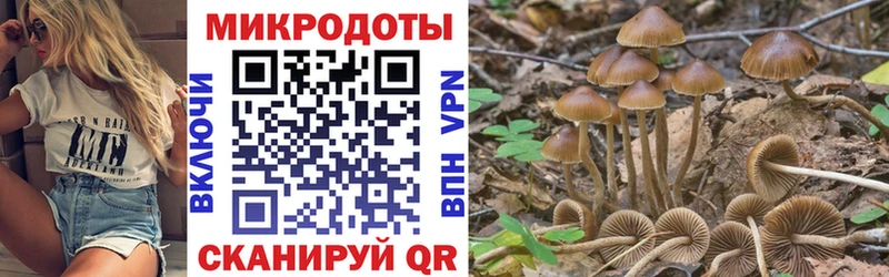 Галлюциногенные грибы Cubensis  купить наркоту  Тула 